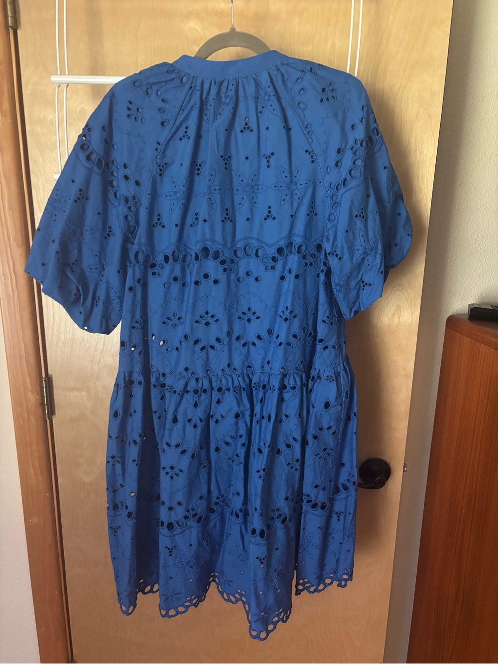 Anthropologie Eyelet Button-Front Mini Dress in Royal Blue - Picture 3 of 4